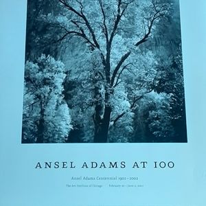 Ansel Adams At 100 Centennial 1902-2002 Unframed